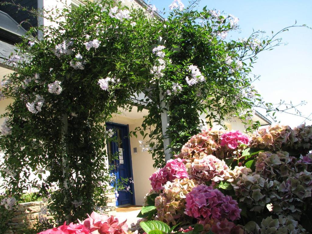 L'Escale Evel Er Ger Bed and Breakfast Locquirec Eksteriør billede